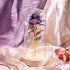 Purple Rose Glass Dome Trending Gift