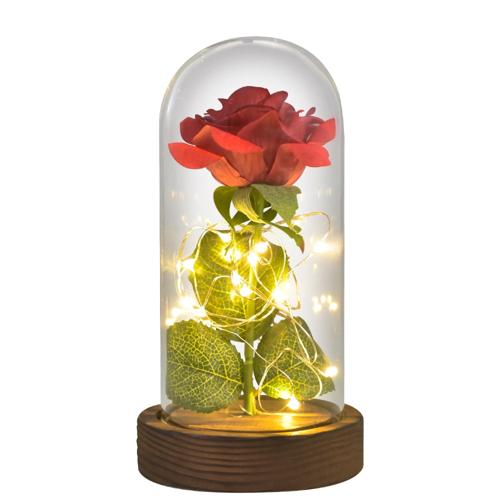 Lighted Red Rose Glass Dome Trending Gift