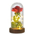 Lighted Red Rose Glass Dome Trending Gift