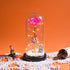 Pink Glass Dome Popular Gift