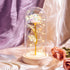 Lighted Rose Glass Dome Best Gift Idea