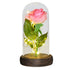 Rose Glass Dome Popular Gift